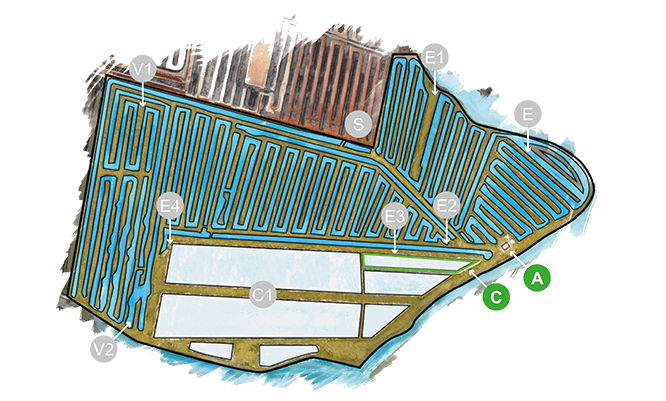 Sal Marina Fina sin refinar Biocop (500 Grs) - Tierras Vivas Tienda Online